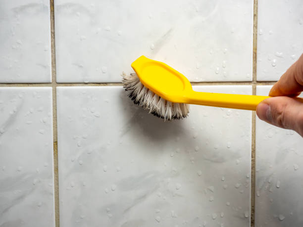 Best Residential Mold Remediation in Warsaw, KY