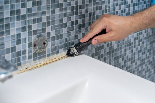 Best Emergency Mold Remediation in Warsaw, KY